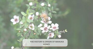 The History and Origin of Manuka Honey