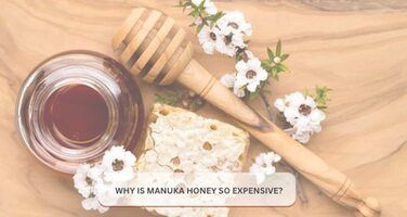 Why is Manuka Honey So Expensive: Supply, Certification Costs & Demand