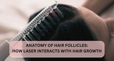 Anatomy of Hair Follicles: How Laser Light Interacts with the Hair Growth Cycle