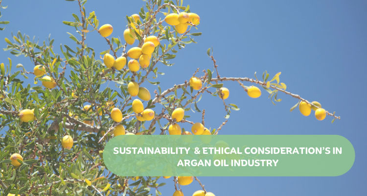 Sustainability and Ethical Considerations in the Argan Oil Industry